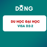 Du học Hàn Quốc hệ Đại học visa D2-2
