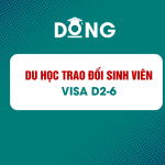 Du học Hàn Quốc hệ trao đổi sinh viên visa D2-6